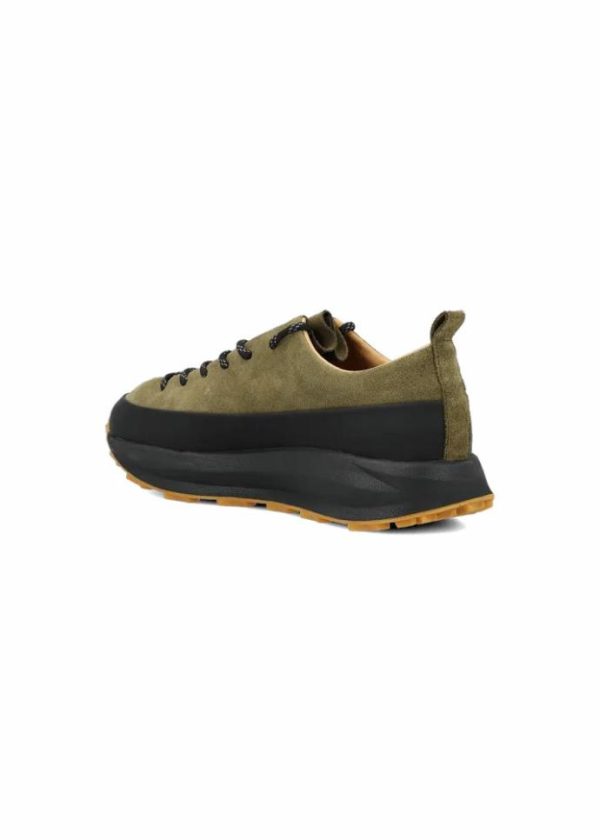 Northup.shop3488c91b64 5