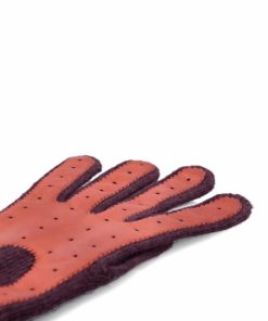 Northup.shop60490dc117 2