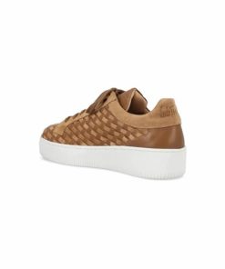 Northup.shopd2562a80a6 3